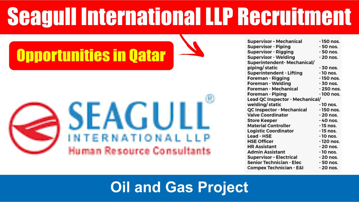 Seagull International LLP Recruitment 2024